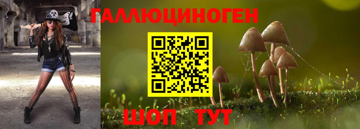 Псилоцибиновые грибы мухоморы Нижнекамск